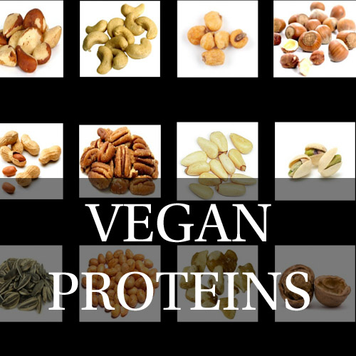 Vegan proteins